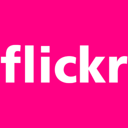 Flickr Alt 1 Icon 256x256 png